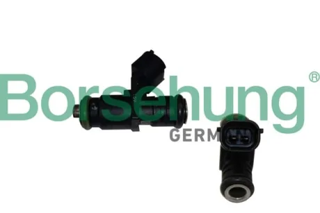 Форсунка Borsehung B19238