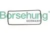 Цепь ГРМ BMW 3 (E90/91/92/93)/5 (E61)/7 (F01)/X6 (E71) 04-16, N43/N53//N54/N55 Borsehung B1C030 (фото 1)