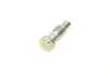 Натяжник цепи ГРМ VW T4/T5 2.8 VR6/3.2 V6 00-09 (OE VAG) Borsehung B1T014 (фото 5)