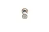 Натяжитель цепи ГРМ Mini 1.6 01-06 Borsehung B1T023 (фото 2)