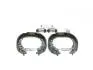 ZESTAW SZCZКKI+CYLINDERKI HAM RENAULT CLIO II 1.5DCI 01-07, CLIO IV 1.5DCI 12- BOSCH 0204114685 (фото 2)
