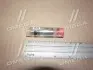 Розпилювач форсунки BOSCH 0433171957 (фото 2)