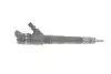 Форсунка Citroen Jumper/Fiat Ducato/Iveco Daily 3.0HDi 06- BOSCH 0 445 110 248 (фото 1)