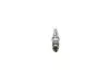Форсунка BOSCH 0445120250 (фото 1)