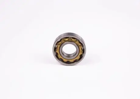 Подшипник BOSCH 1900900018