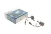 Автолампа 12V 20W PX26d LED Powerlight BOSCH 1 987 301 567 (фото 1)