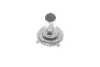 Автолампа H4 12V 60/55W P43t Pure Light BOSCH 1 987 302 041 (фото 4)