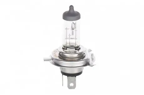 Автомобильная лампа BOSCH 1 987 302 049