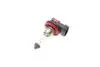 Автолампа H11 24V 70W PGJ19-2 Trucklight BOSCH 1 987 302 481 (фото 2)