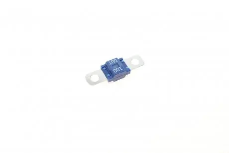 Запобіжник 100А 32V (Гвинтовий) BOSCH 1 987 531 011