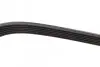 Ремень генератора Renault Master 2.2/2.5 dCi 00- (6PK1836) BOSCH 1 987 945 714 (фото 4)
