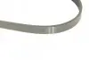 Ремень генератора Ford Focus 2.5 ST 05-12/Mitsubishi Lancer 1.5/1.6 08- (5PK895) BOSCH 1 987 945 715 (фото 4)