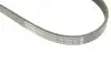 Ремень генератора Ford Focus 2.5 ST 05-12/Mitsubishi Lancer 1.5/1.6 08- (5PK895) BOSCH 1 987 945 715 (фото 5)