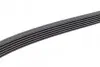 Ремень генератора BMW 3 (E90) 3.2D 07-11 (6PK1780) N47 D20 BOSCH 1 987 945 733 (фото 4)