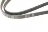 Ремінь генератора Toyota Avensis/Corolla 2.0D-4D 04-09 (5PK1250) BOSCH 1 987 946 001 (фото 4)