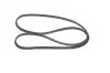 Ремень генератора Renault Clio/Kangoo 1.4i/1.6 98-03 (4PK1238) BOSCH 1 987 946 003 (фото 2)