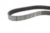 Ремень генератора Nissan Micra 1.0-1.4i 16V 92-03 (6PK675) BOSCH 1 987 946 025 (фото 3)