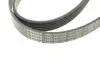 Ремінь генератора BMW 3 (E90)/5 (E60)/7 (E65/E66/E67)/X5 (E70) 04-11 (6PK1990) BOSCH 1 987 946 028 (фото 5)
