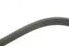 Ремень генератора MB E-class (W124/W211)/ M-class (W164) (6PK2355) BOSCH 1 987 946 074 (фото 3)