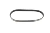 Ремінь генератора Ford C-Max/ Focus/ Volvo S40 1.8-2.0 06-12 (5PK705) BOSCH 1 987 946 134 (фото 5)