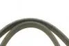Ремінь генератора VW Bora/Golf/T5 (6PK1195) BOSCH 1 987 946 200 (фото 2)