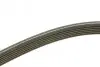 Ремінь генератора VW Bora/Golf/T5 (6PK1195) BOSCH 1 987 946 200 (фото 3)