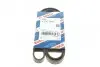Ремень генератора Opel Zafira 1.6 05-15/ Suzuki Baleno1.8i 96-02/ Grand Vitara2.0 98-15 (5PK1545) BOSCH 1 987 946 236 (фото 1)