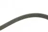 Ремень генератора Opel Zafira 1.6 05-15/ Suzuki Baleno1.8i 96-02/ Grand Vitara2.0 98-15 (5PK1545) BOSCH 1 987 946 236 (фото 2)