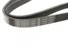 Ремінь генератора VW Caddy III/Golf III/Passat/T4 1.9D/TD (TP) (6PK1050) BOSCH 1 987 946 240 (фото 2)
