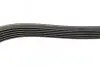 Ремінь генератора Fiat Bravo 1.6/2.0D 07-14/Croma 1.9D 05- (6PK1395) BOSCH 1 987 946 241 (фото 4)