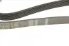 Ремень генератора Honda Accord/Civic/CR-V 1.8/2.0 05- (7PK1535) BOSCH 1 987 946 272 (фото 4)