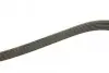 Ремень генератора Citroen Jumpy 2.0HDI 10- (6PK1245) BOSCH 1 987 946 280 (фото 3)