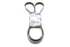 Ремень генератора Ford Connect 1.8 TDCI 02-13 (6PK1720) BOSCH 1 987 946 295 (фото 1)