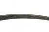 Ремень генератора Ford Connect 1.8 TDCI 02-13 (6PK1720) BOSCH 1 987 946 295 (фото 3)