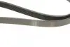 Ремень генератора Ford Connect 1.8 TDCI 02-13 (6PK1720) BOSCH 1 987 946 295 (фото 5)
