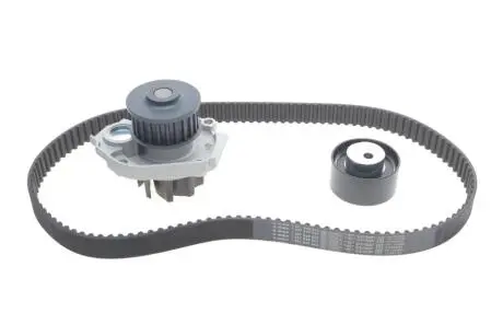 Комплект ГРМ + помпа Fiat Doblo/Palio/Panda/Punto/Stilo/Tipo/Opel Combo 1.4i 10- (22x124z) BOSCH 1987946387
