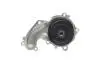 Комплект ГРМ + помпа Ford Transit Connect 1.8Di/1.8TDCi 02- 55/66/81kw BOSCH 1 987 946 462 (фото 6)