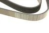 Ремень генератора Mazda 6 2.0 MZR-CD 07-10/MPV 2.0 DI 02-06 (8PK1230) BOSCH 1 987 947 047 (фото 5)