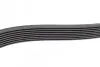 Ремень генератора MB Axor 2 (OM926) 04- (8PK1635) BOSCH 1 987 947 056 (фото 4)