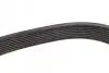 Ремінь генератора MB Atego 2/Axor 2 (OM926/OM924/OM902) 04- (8PK1920) BOSCH 1 987 947 060 (фото 4)