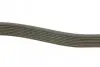 Ремень генератора MB Atego/Axor/Vario 98- (8PK1955) (OM900/904/906/924-926) BOSCH 1 987 947 062 (фото 3)