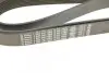 Ремень генератора MB Atego/Axor/Vario 98- (8PK1955) (OM900/904/906/924-926) BOSCH 1 987 947 062 (фото 5)