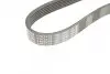 Ремень генератора Porsche Cayenne 10-/Audi Q7 06-15/VW Touareg 3.0 TDI 04-18 (6PK2475) BOSCH 1 987 947 553 (фото 5)