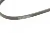 Ремень генератора Honda CR-V 2.0 16V 4WD 95-02/Subaru Forester/Impreza/Legacy 1.5-2.5 92-09 (4PK895) BOSCH 1 987 947 559 (фото 4)