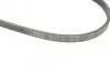 Ремень генератора Honda CR-V 2.0 16V 4WD 95-02/Subaru Forester/Impreza/Legacy 1.5-2.5 92-09 (4PK895) BOSCH 1 987 947 559 (фото 5)