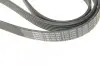 Ремінь генератора Audi A4-A6/Q5 2.7/3.0TDI 05-/Hyundai Santa Fe/Kia Sorento 2.0-2.2CRDi 09-(6PK2498) BOSCH 1 987 947 564 (фото 4)