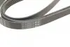 Ремінь генератора Audi A4-A6/Q5 2.7/3.0TDI 05-/Hyundai Santa Fe/Kia Sorento 2.0-2.2CRDi 09-(6PK2498) BOSCH 1 987 947 564 (фото 6)