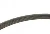 Ремінь генератора Peugeot Partner 1.6 VTi 08-/Renault Kangoo/Scenic 1.5dCi/1.6 13- (6PK1205) BOSCH 1 987 947 577 (фото 2)