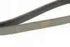 Ремінь генератора Peugeot Partner 1.6 VTi 08-/Renault Kangoo/Scenic 1.5dCi/1.6 13- (6PK1205) BOSCH 1 987 947 577 (фото 3)