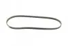 Ремень генератора BMW X5 (E53) 3.0D 03-/Opel Astra G 1.7TD -00 (4PK884) BOSCH 1 987 947 807 (фото 2)